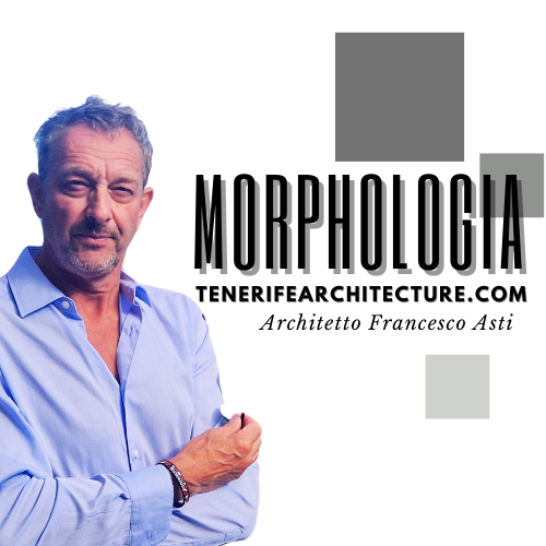 Morphologia Studio